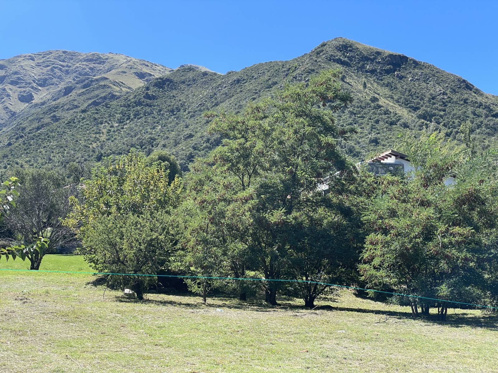 IMG_9328.JPG(FILEminimizer)