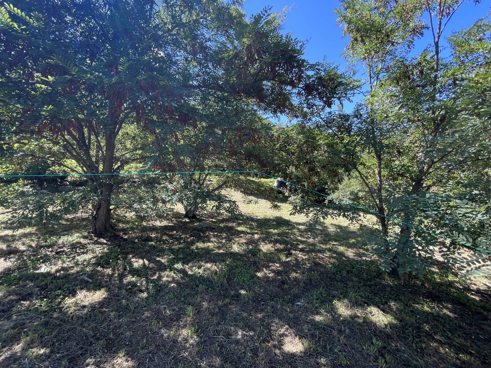 IMG_9332.JPG(FILEminimizer)